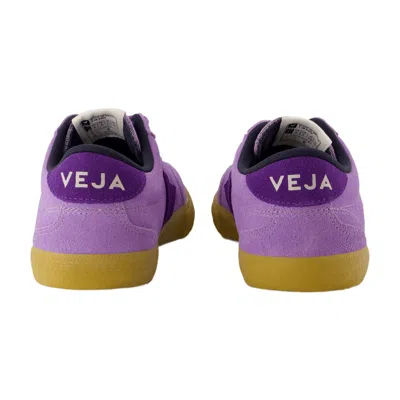 Veja Volley Sneakers In Viola Suede In Purple