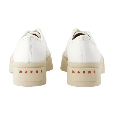 Marni Laced Up Sneakers  Leather White In White