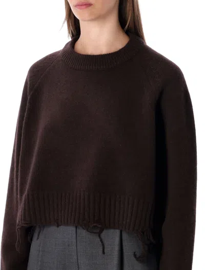 Low Classic Cropped Pullover Distressed Hemline In Brown