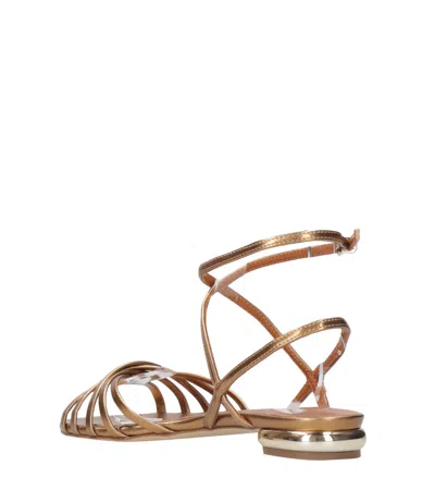 Ncub Sandals Brown In Brown