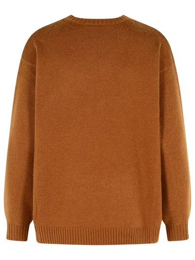Max Mara Wool And Cashmere Lear Sweater In Brown