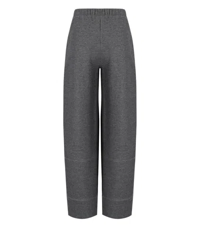 Mm Max Mara Bill Grey Pants In Gray