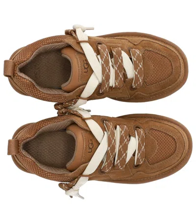 Ugg Suede And Mesh Sneakers With Trekking Laces In Brown