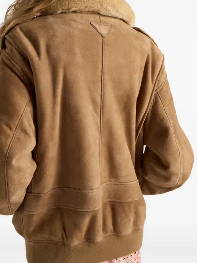 Prada Shearling-collar Patch-pocket Jacket In Nude