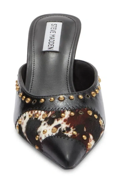 Steve Madden Elizza Pointed Toe Mule In Black