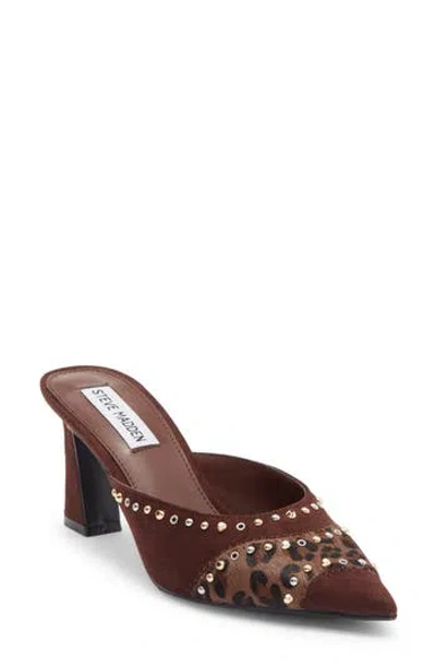Steve Madden Elizza Pointed Toe Mule In Brown