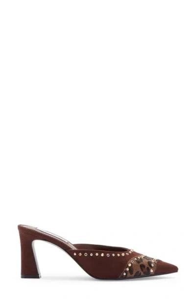 Steve Madden Elizza Pointed Toe Mule In Brown