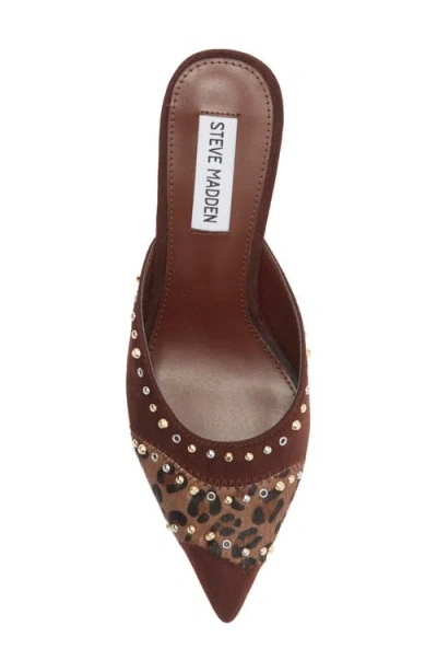 Steve Madden Elizza Pointed Toe Mule In Brown