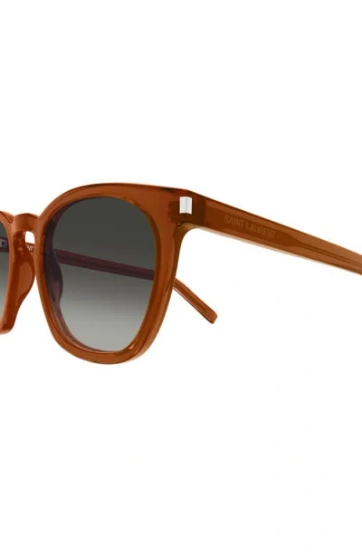 Saint Laurent 49mm Small Round Sunglasses In Brown