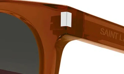 Saint Laurent 49mm Small Round Sunglasses In Brown