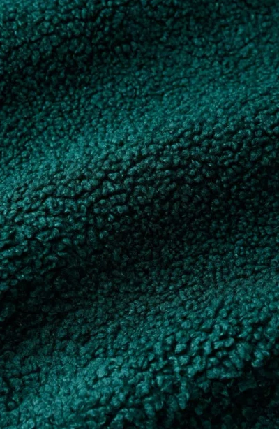 Seasalt Cornwall Barnaloft Fleece Pullover In Green