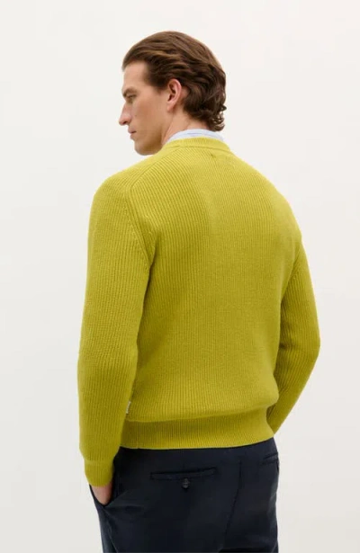 Scalpers New Frederic Tricot In Green