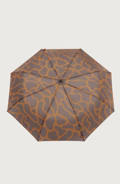 Original Duckhead Compact Umbrella With Automatic Open-close Function In Animal Print