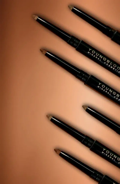 Youngblood Mineral Cosmetics On Point Brow Defining Pencil In Brown