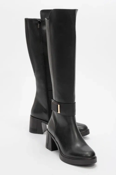 Prologue Shoes Moreni Stretch Buckle Block Heel Knee High Boot In Multi