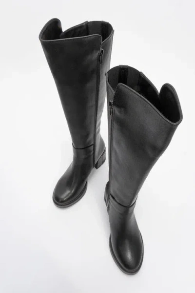 Prologue Shoes Moreni Stretch Buckle Block Heel Knee High Boot In Multi