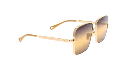 Chloé Full Frame Sunglasses In Multi