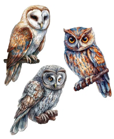 Designocracy Night Owls Wood Clip-on Ornaments, Set Of 3 In Multi
