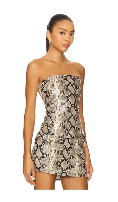 Miaou Libra Corset Top In Multi