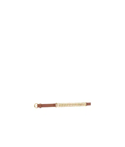 Pinko Chain Insert Belt Belts Brown In Brown