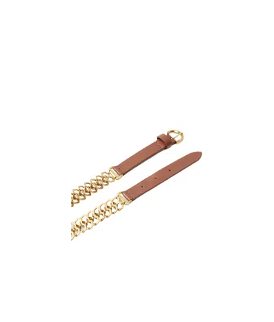 Pinko Chain Insert Belt Belts Brown In Brown