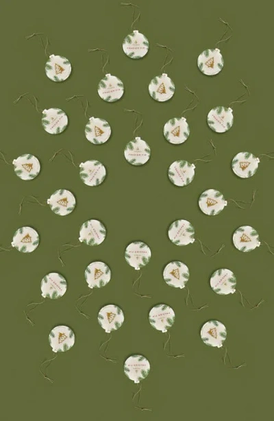 Thymes Frasier Fir Decorative Sachet In Green