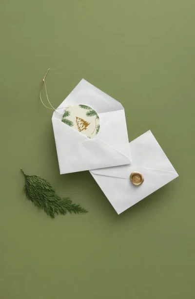 Thymes Frasier Fir Decorative Sachet In Green