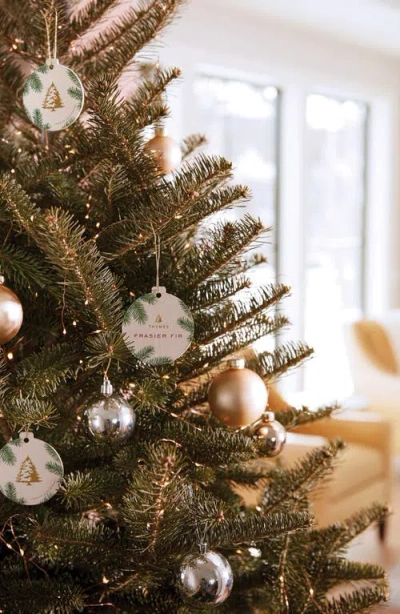 Thymes Frasier Fir Decorative Sachet In Green