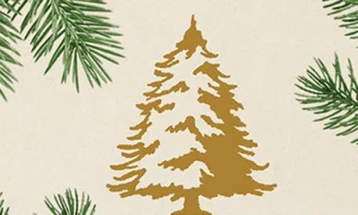 Thymes Frasier Fir Decorative Sachet In Green