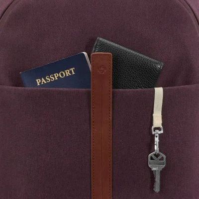 Samsonite Virtuosa Backpack & Carry On 2-piece Set In Burgundy