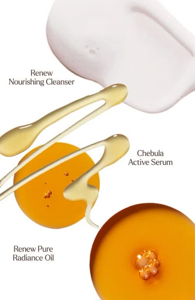 True Botanicals A True Transformation Set $136 Value In Brown