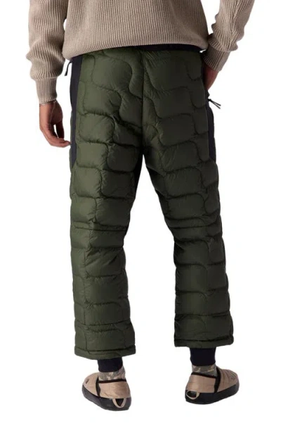 Backcountry Waas Allied Down Pant In Green