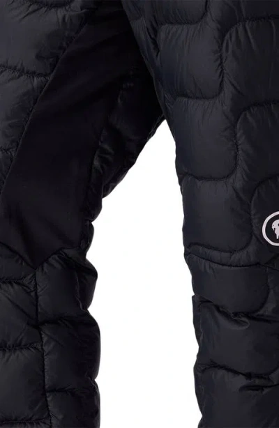 Backcountry Waas Allied Down Pant In Black