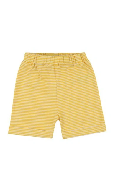 Lilly + Sid Organic Cotton Bugs Print Top And Short Set In Multi