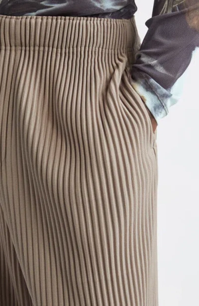 Issey Miyake Homme Plissé  Monthly Colors September Pleated Pants In Brown