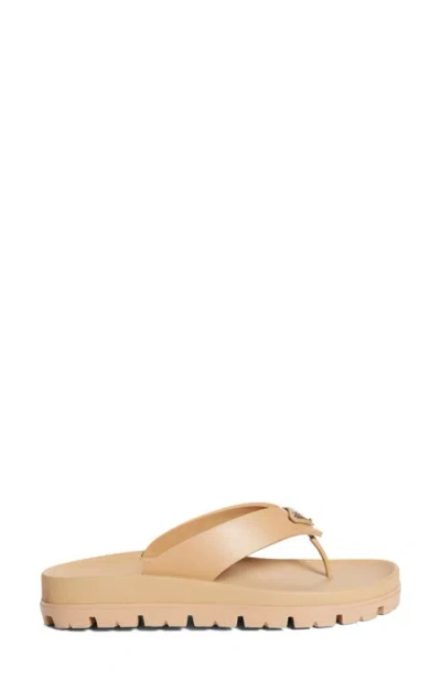 Prada Women's Rubber Thong Sandals In Neutral