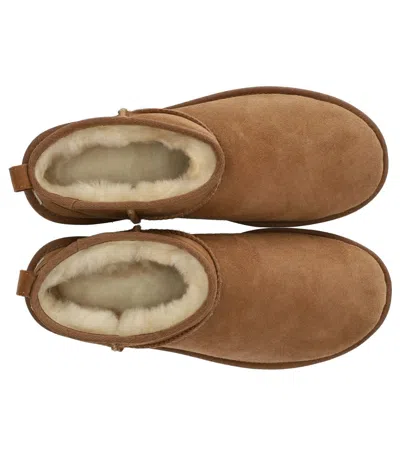 Ugg Classic Ultra Mini Mens Cold Weather Chukka Boots In Brown