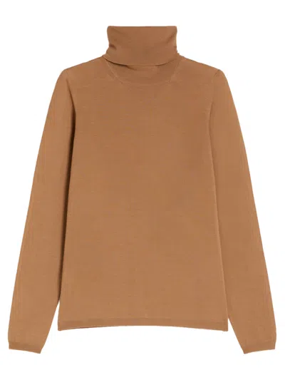Max Mara Saluto Virgin Wool Turtleneck Sweater In Brown