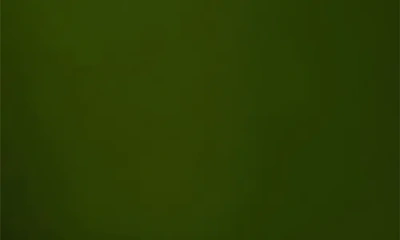 Thymes Frasier Fir Four-wick Candle In Green