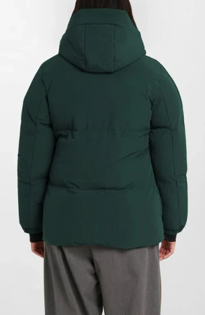 Noize Stacy Water Resistant Hooded Puffer Jacket In Green
