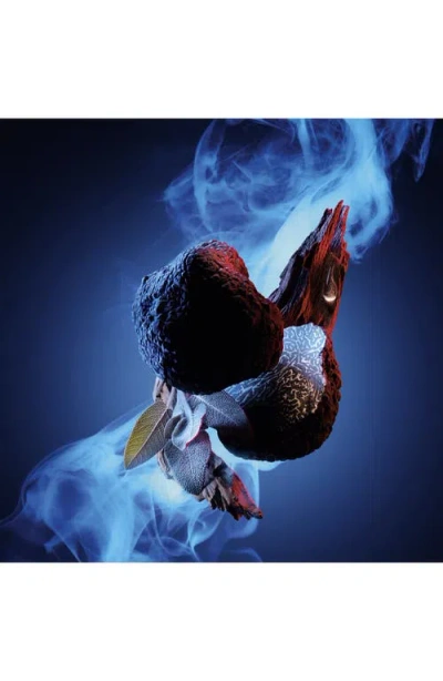 Carolina Herrera Bad Boy Cobalt Elixir Eau De Parfum In Black