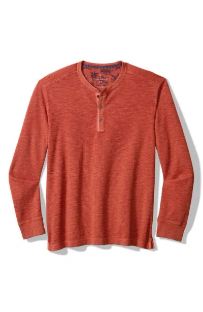 Tommy Bahama Port Oasis Henley In Brown