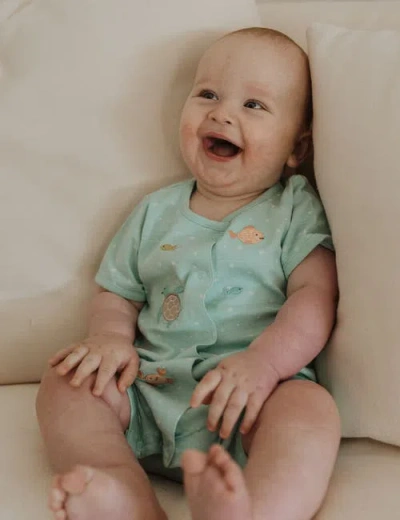 Purebaby Under The Sea Short Button Up Romper In Green