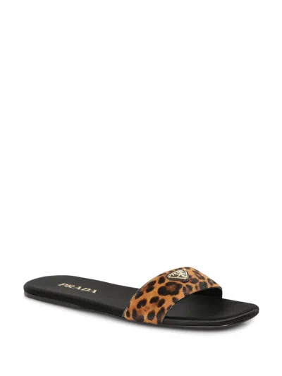 Prada Animal Print Genuine Calf Hair Slide Sandal In Miele Calf Hair Print