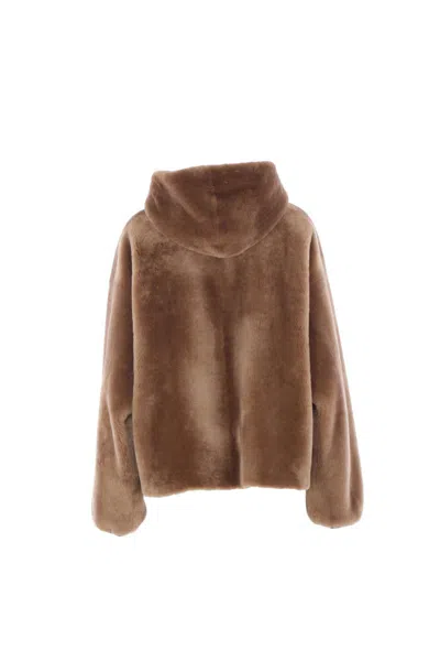 Blancha Hooded Shearling Jacket In Burgundy