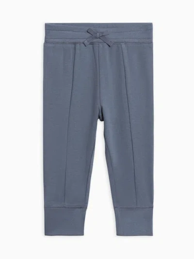 Colored Organics Organic Cotton Ailsa Seamed Joggers In Blue