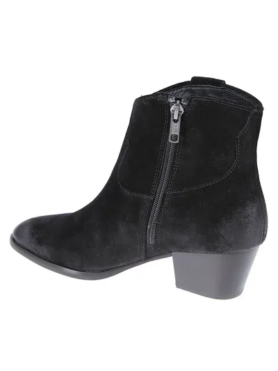 Ash Woman Ankle Boots Dark Brown Size 8 Leather In Black