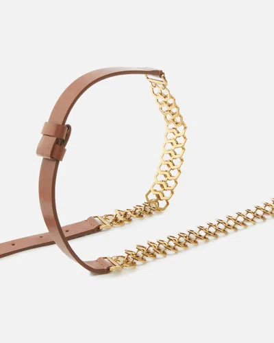 Pinko Chain Insert Belt Belts Brown In Brown