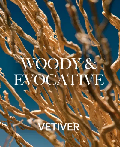 Aramis Intuition Eau De Parfum Gift Set In Transparent