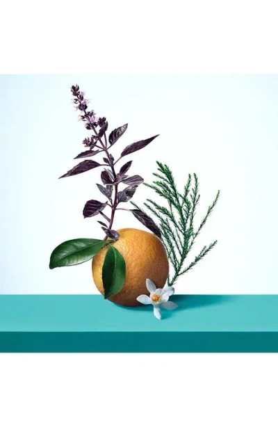 Tiffany & Co Tiffany & Love Eau De Parfum 3-piece Gift Set In Multi